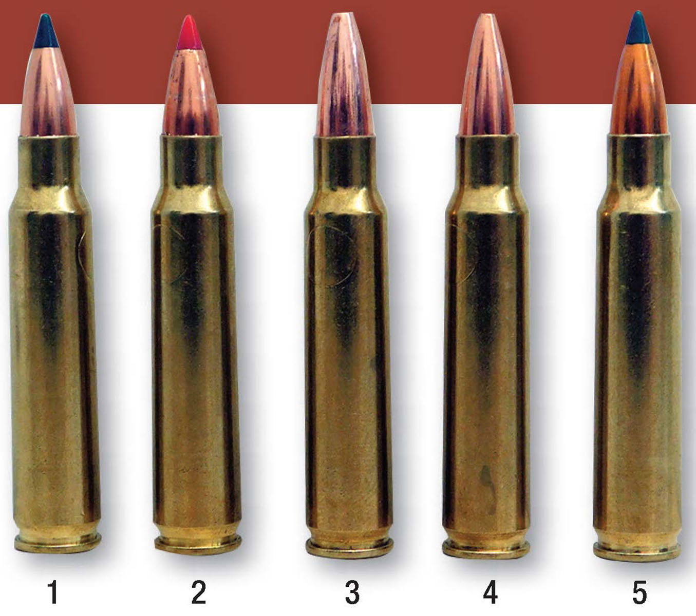 Lighter bullets were tested for accuracy and velocity for potential use in eastern Montana’s vast prairie dog towns, including the (1) Sierra 55-grain BlitzKing, (2) Hornady 58 V-MAX, (3) Barnes 62 Varmint Grenade, (4) Speer 70 TNT and the (5) Sierra 70-grain BlitzKing.